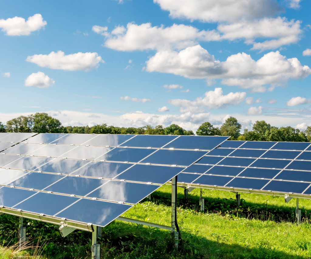 a solar farm in the sun