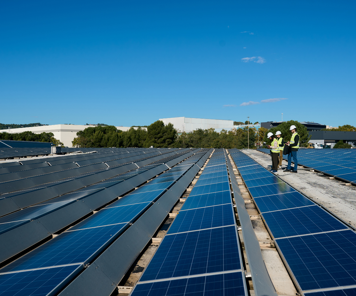 Solar panels installed on a flat roof